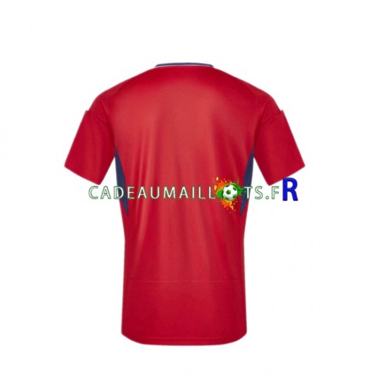 Costa Rica Maillot avec flocage Domicile 2023 ,Homme MC