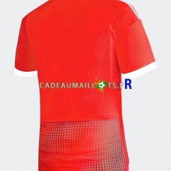 Pérou Maillot avec flocage Extérieur 2023 ,Homme MC
