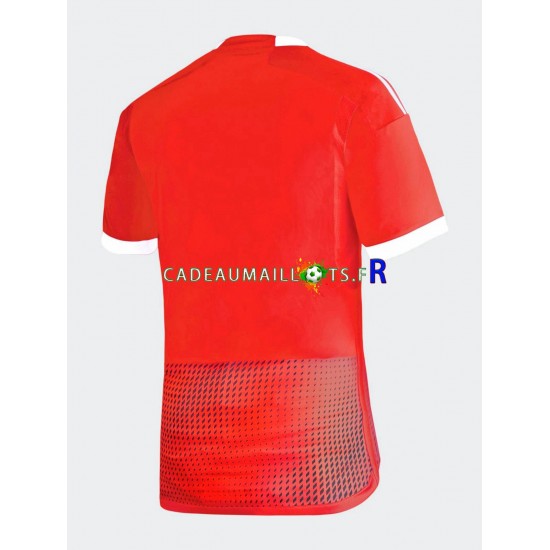 Pérou Maillot avec flocage Extérieur 2023 ,Homme MC