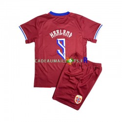 Norvège Maillot avec flocage Erling Haaland 9 Domicile 2024 ,Tenue Enfant MC