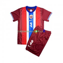 Norvège Maillot avec flocage Erling Haaland 9 Domicile 2024 ,Tenue Enfant MC