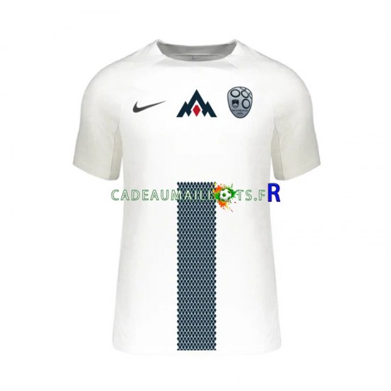 Slovénie Maillot avec flocage Domicile Euro 2024 ,Homme MC