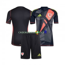 Pays de Galles Maillot avec flocage Gardien Domicile 2024 ,Tenue Enfant MC