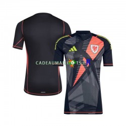 Pays de Galles Maillot avec flocage Gardien Domicile 2024 ,Homme MC