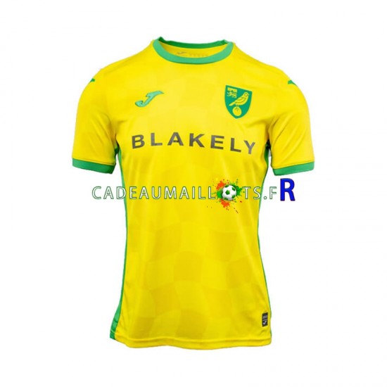 Norwich City Maillot avec flocage Domicile 2024-2025 ,Homme MC