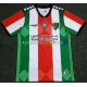 Club Deportivo Palestino Maillot avec flocage Domicile 2021 ,Homme MC