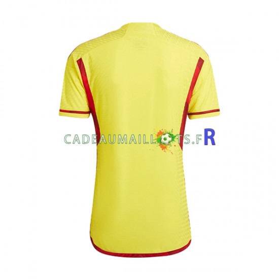 Colombie Maillot avec flocage Domicile 2022-2023 ,Homme MC