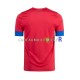 Costa Rica Maillot avec flocage Domicile Coupe du Monde 2022 ,Homme MC