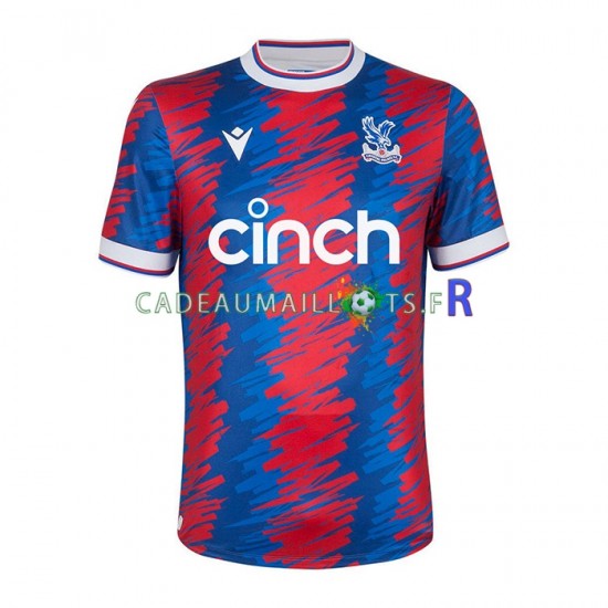 Crystal Palace Maillot avec flocage Domicile 2022-2023 ,Homme MC