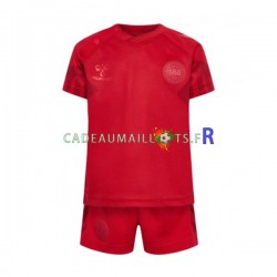 Danemark Maillot avec flocage Domicile Coupe du Monde 2022 ,Tenue Enfant MC