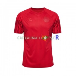 Danemark Maillot avec flocage Domicile Coupe du Monde 2022 ,Homme MC