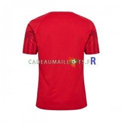 Danemark Maillot avec flocage Domicile Coupe du Monde 2022 ,Homme MC