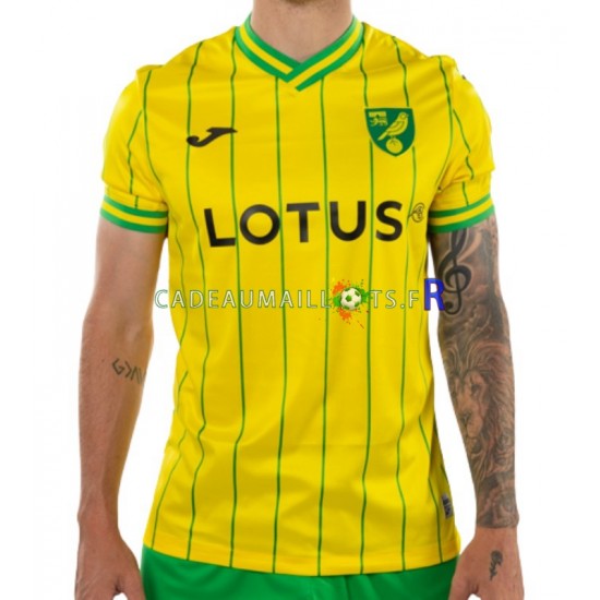 Norwich City Maillot avec flocage Domicile 2022-2023 ,Homme MC