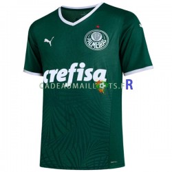 Palmeiras Maillot avec flocage Domicile 2022-2023 ,Homme MC Palmeiras Maillot avec flocage Domicile 2022-2023 ,Homme MC
