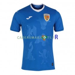 Roumanie Maillot avec flocage Extérieur 2021 ,Homme MC