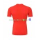 Tunisie Maillot avec flocage Domicile Coupe du Monde 2022 ,Homme MC